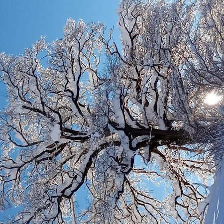 Appartement Montanea Schruns Kültér fotó